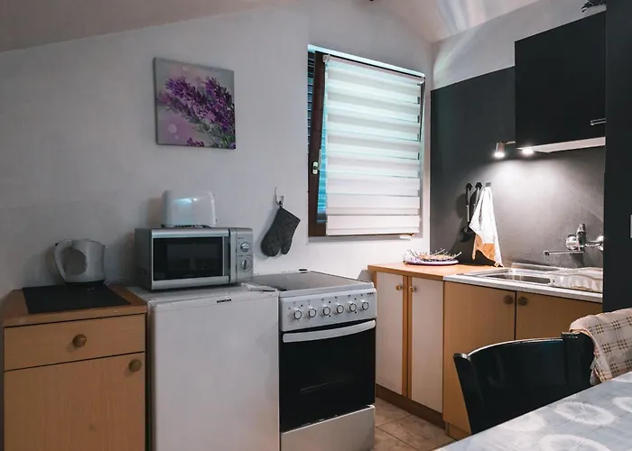 公寓 Branko 扎达尔